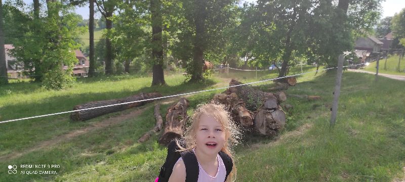 IMG_20220603_094327