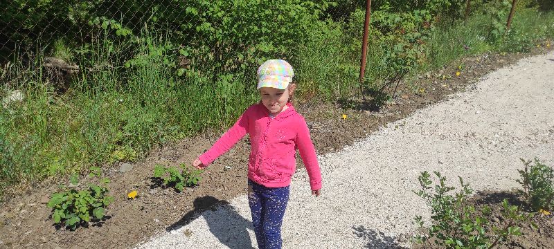 IMG_20230525_105712
